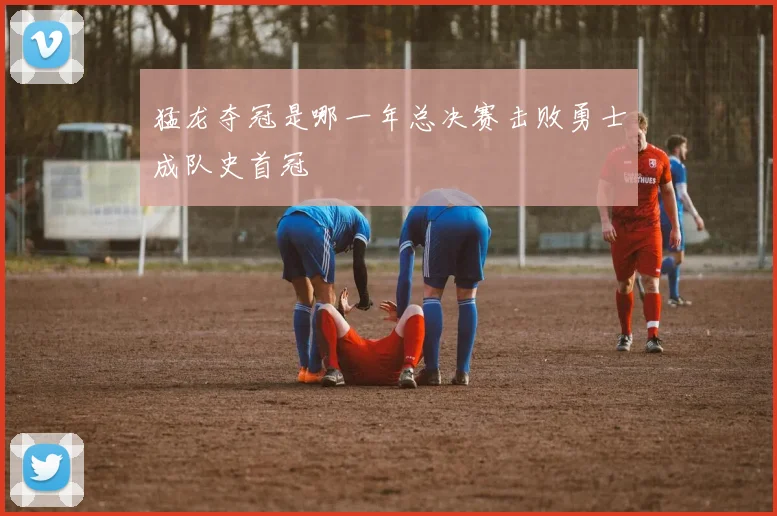 猛龙夺冠是哪一年总决赛击败勇士成队史首冠