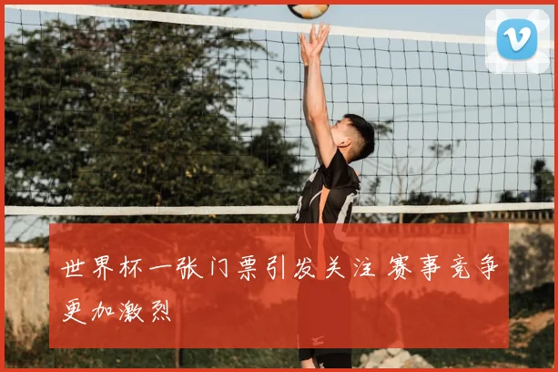 世界杯一张门票引发关注 赛事竞争更加激烈