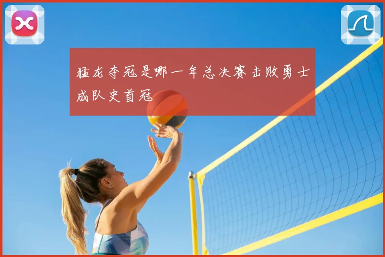 猛龙夺冠是哪一年总决赛击败勇士成队史首冠