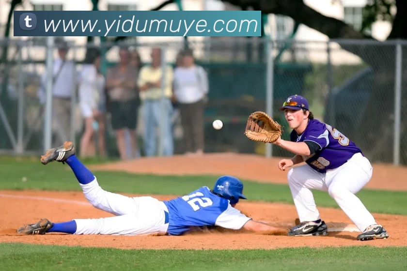 多媒体互动体验