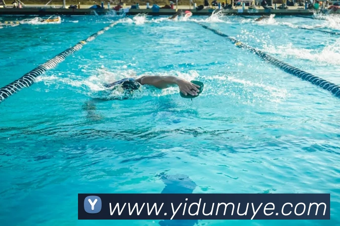 世界杯官方入口APP 体育赛事宣传图